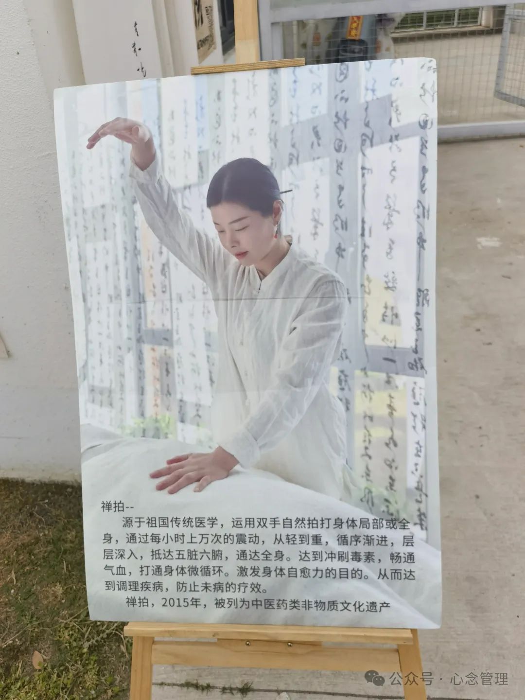 禅拍